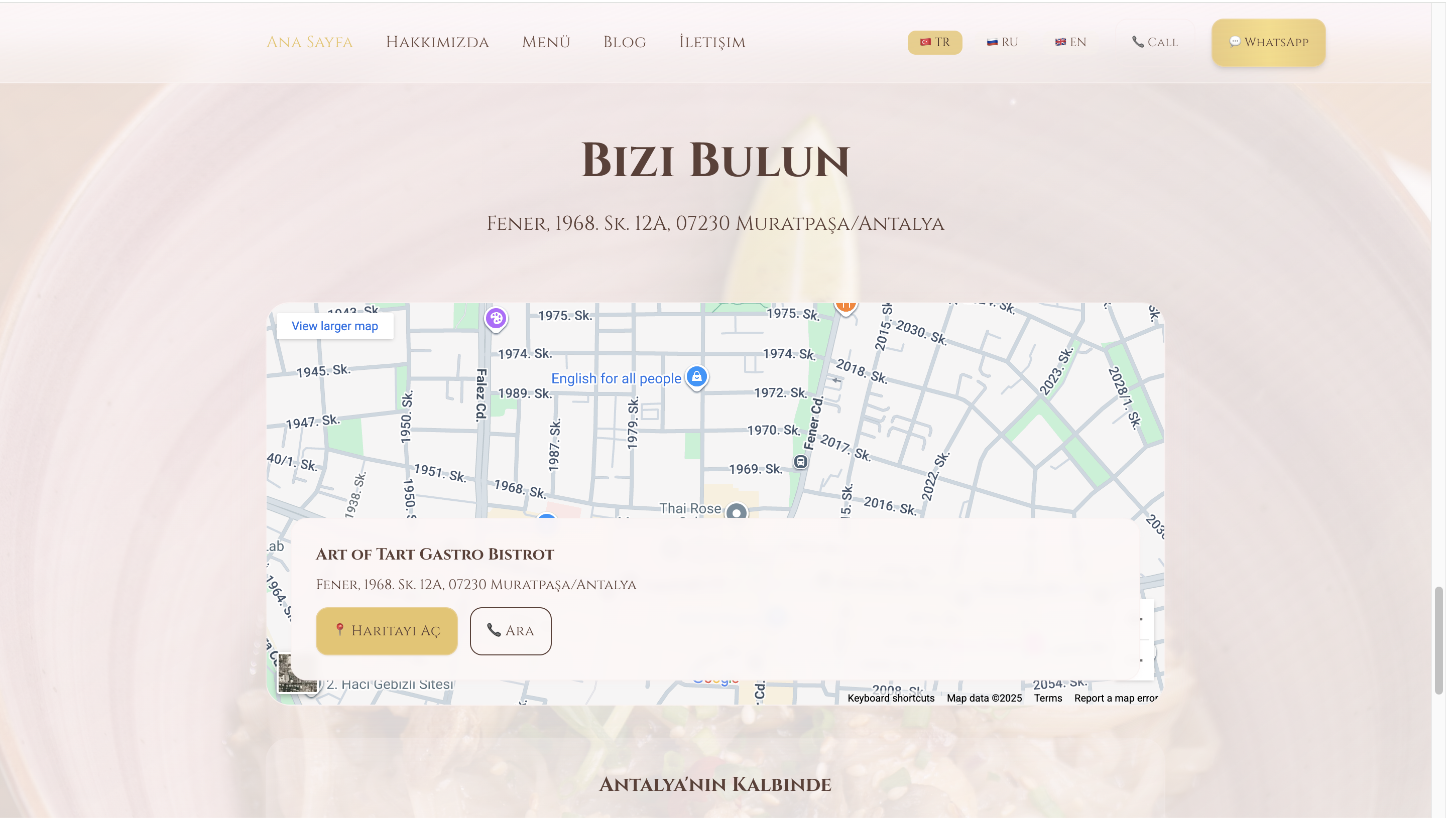 Art of Tart Hakkımızda