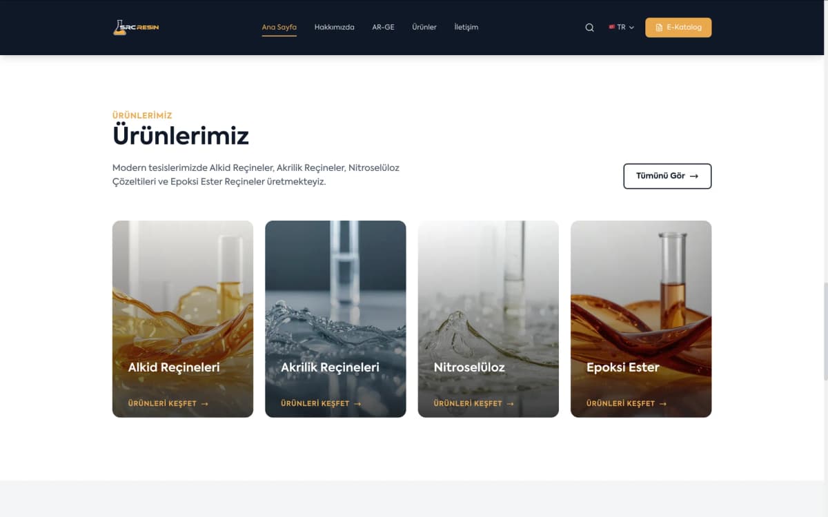 SRC Resin — экран проекта 4